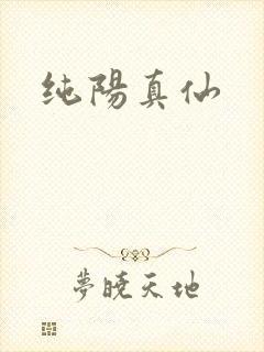 纯阳真仙