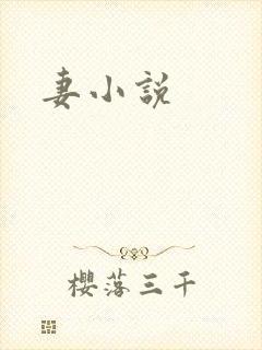 妻小说