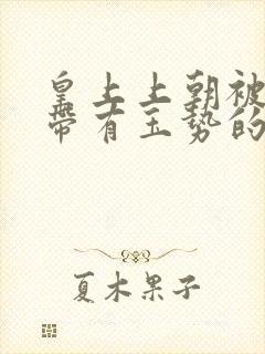 皇上上朝被迫坐带有玉势的龙椅