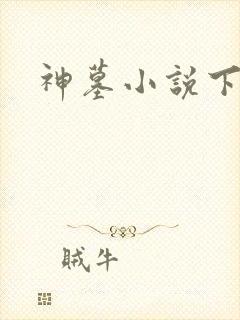 神墓小说下载