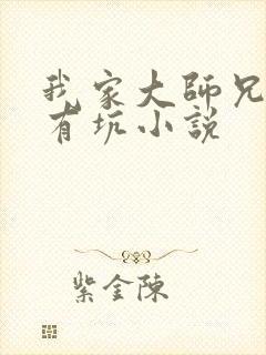 我家大师兄脑子有坑小说封面