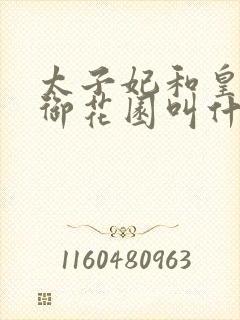 太子妃和皇帝在御花园叫什么小说