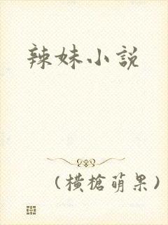 辣妹小说
