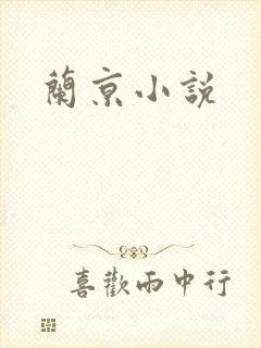 兰京小说封面