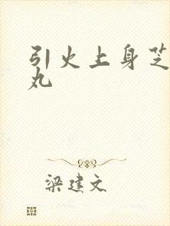 引火上身芝麻糖丸