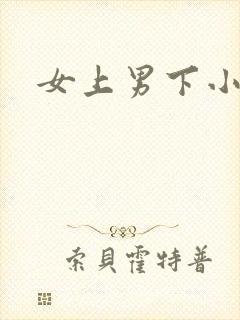 女上男下小说