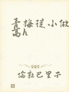 青梅从小做到大高h封面