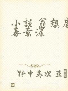 小说 翁想房中春意浓