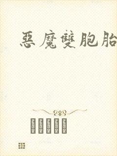 恶魔双胞胎封面