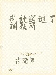 我被送进了私奴调教所