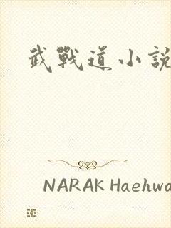 武战道小说封面