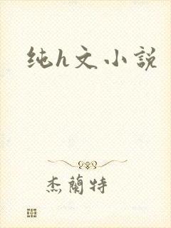 纯h文小说