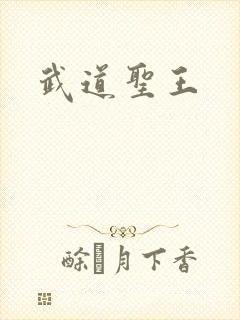 武道圣王