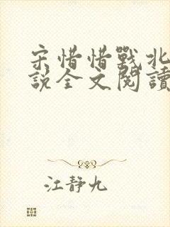 宋惜惜战北望小说全文阅读