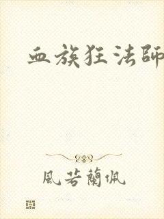 血族狂法师封面