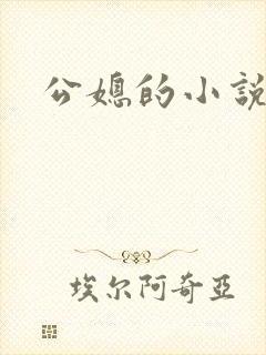公媳的小说