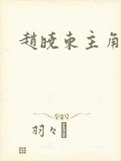 赵晓东主角小说