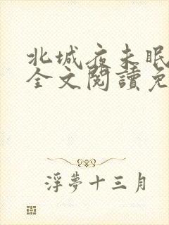 北城夜未眠小说全文阅读免费