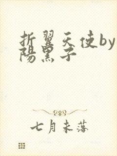 折翼天使by太阳黑子封面