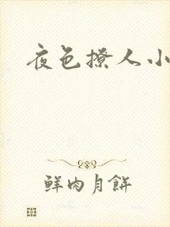 夜色撩人小说
