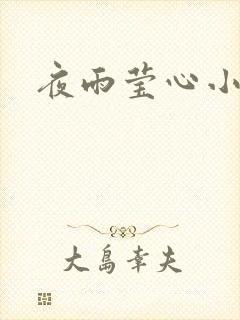 夜雨莹心小说