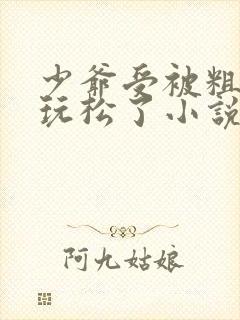 少爷受被粗汉H玩松了小说