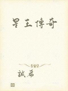 星王传奇