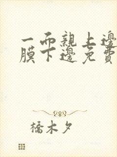 一面亲上边一面膜下边免费阅读