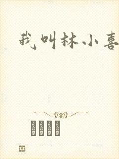 我叫林小喜17封面