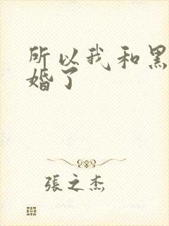 所以我和黑粉结婚了