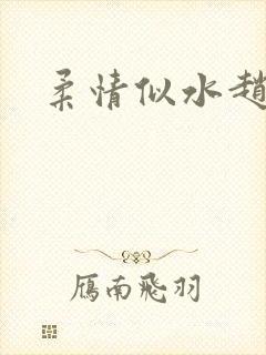 柔情似水赵雅儿