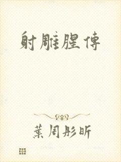 射雕腥传封面