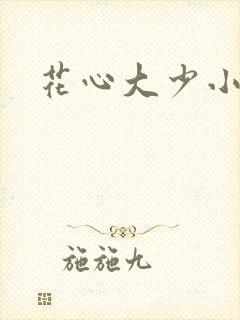 花心大少小说