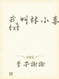 我叫林小喜小说txt封面