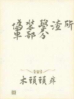 伪装学渣所有开车部分