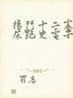 杨门十二寡妇肉床艳史电子书封面