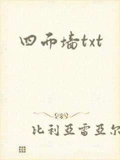 四面墙txt