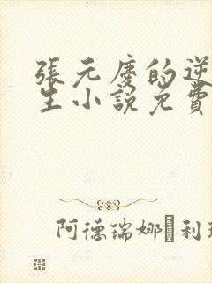 张元庆的逆袭人生小说免费阅读封面