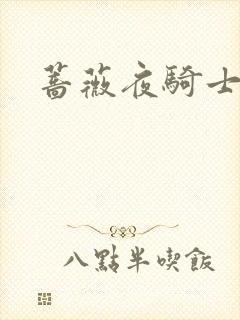 蔷薇夜骑士封面