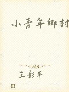 小青年乡村猎艳封面