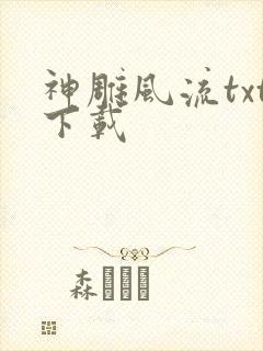 神雕风流txt下载