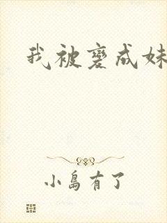 我被变成妹了封面