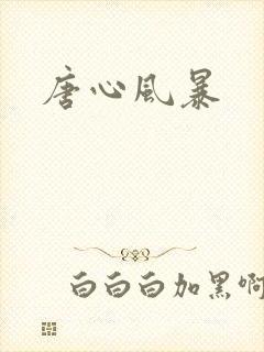 唐心风暴