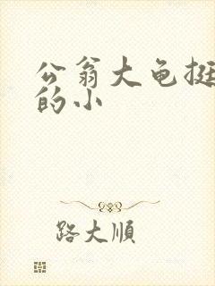 公翁大龟挺进我的小