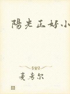 阳光正好小说封面