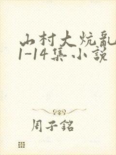 山村大炕乱肉续1-14集小说