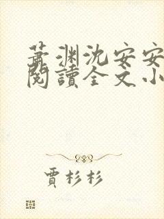 萧渊沈安安免费阅读全文小说