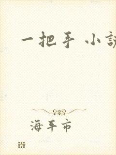 一把手 小说