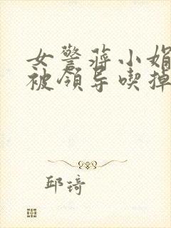 女警蒋小娟的奶被领导吃掉了封面