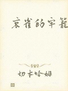 哀雀的牢笼封面